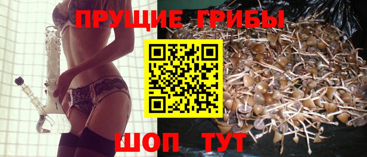 даркнет сайт  Вход с VPN  Урус-Мартан  Псилоцибиновые грибы Psilocybe 
